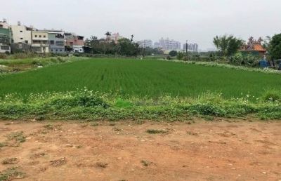 富國路旁都計田視意圖