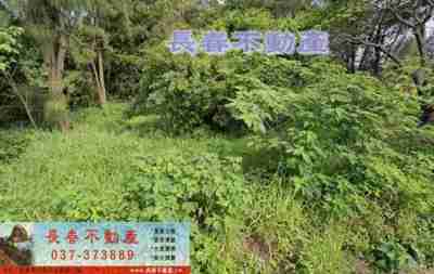 售苗栗縣後龍鎮8L361後龍苦苓腳美田農地1,320萬