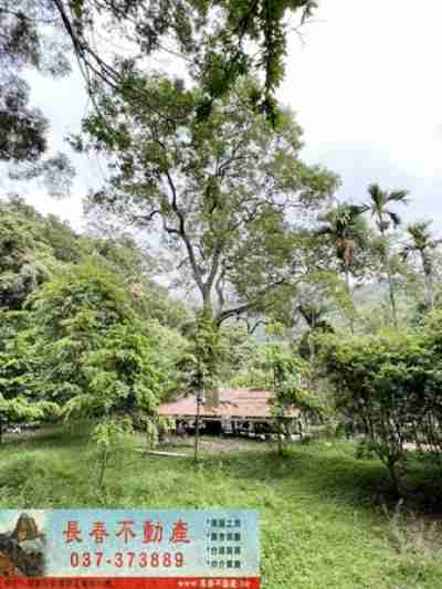 售苗栗縣公館鄉8G128北河林地林地2,000萬