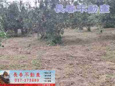 售苗栗縣頭屋鄉8F379明德水庫休閒地農牧用地698萬