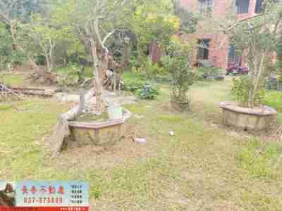 售苗栗縣銅鑼鄉8G182銅鑼新雞隆農牧用地農牧用地1,380萬