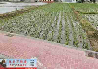 售苗栗縣公館鄉8F083沿山道美田農地1,736萬