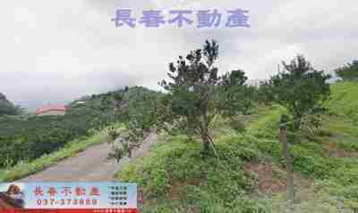 售苗栗縣大湖鄉8F156大湖興榮橘子園農地688萬