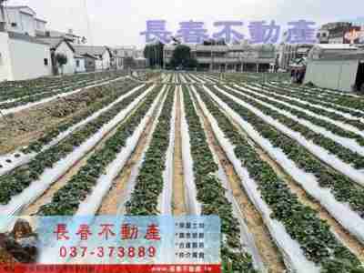 售苗栗縣大湖鄉7F069大湖都計內建地建地1.35億