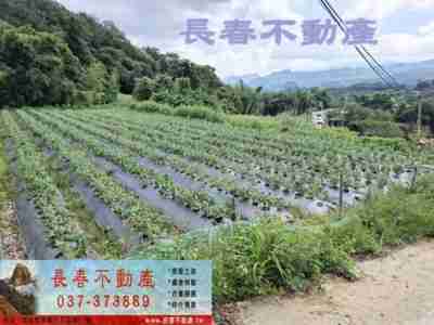 售苗栗縣大湖鄉7K018南湖建+田建地830萬