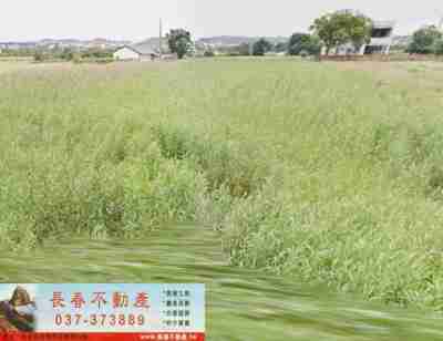 售苗栗縣後龍鎮8Y575後龍高鐵旁美田(1)農地1,289萬