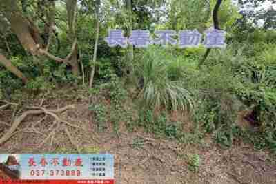 售苗栗縣苗栗市8L028聯大旁農牧用地(一)農牧用地959萬
