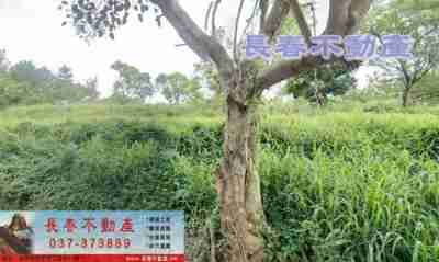 售苗栗縣苗栗市8L029聯大旁農牧用地(二)農牧用地1,128萬
