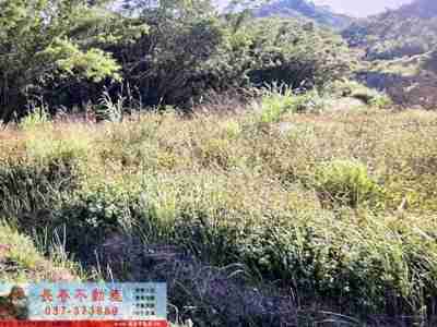 售苗栗縣頭屋鄉8F288二岡坪丙建+農牧+林地建地2,980萬