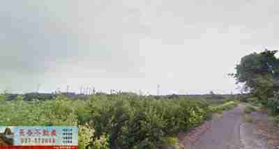 售苗栗縣通霄鎮7Y109通霄濱海甲建建地925萬