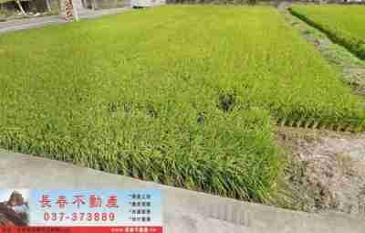 售苗栗縣苗栗市8F010苗栗都計內美田-雙面臨路農地1,980萬