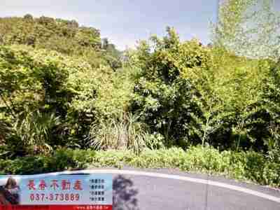 售苗栗縣獅潭鄉8G302獅潭和興建+農+林林地3,887萬