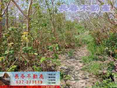 售苗栗縣苗栗市7D038英才路乙工工業用地1.8億