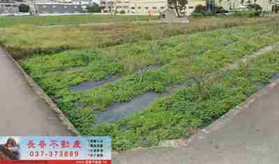 售苗栗縣公館鄉8Y080公館都內交流道美田農地565萬