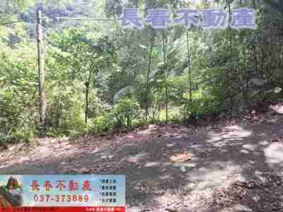 售苗栗縣大湖鄉8F225大湖大南農牧地農牧用地1,298萬
