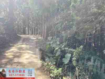 售苗栗縣大湖鄉8G121杉林秘境(興榮)農牧用地1,400萬